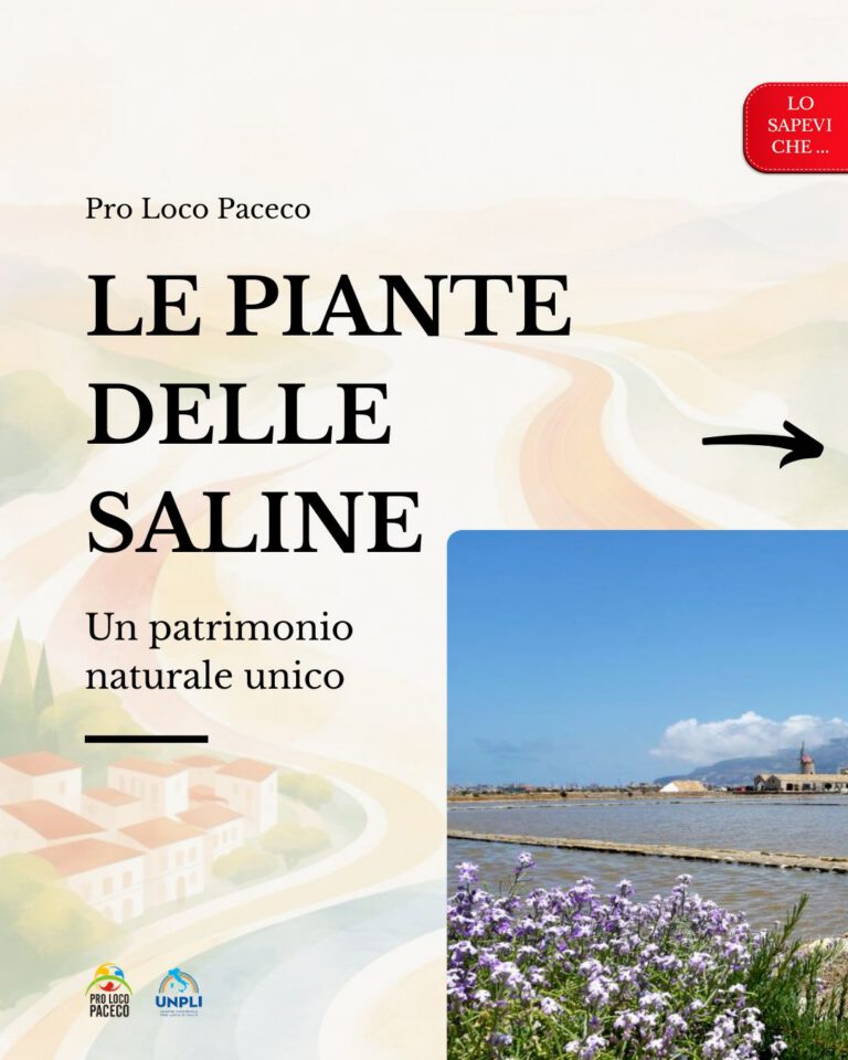 Le piante delle saline