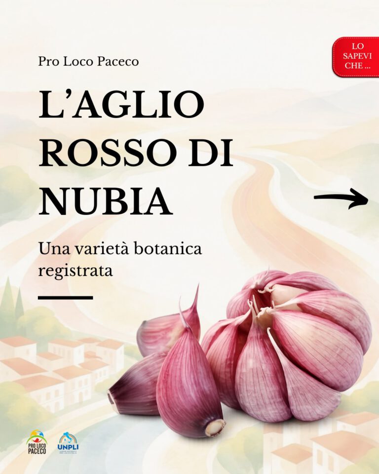 L’aglio di Nubia