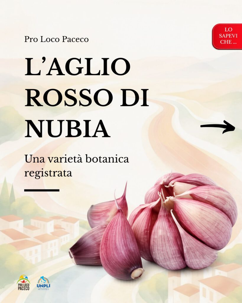 L’aglio di Nubia