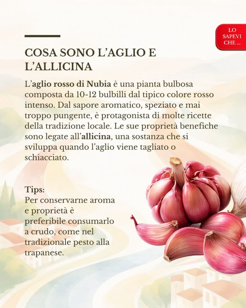 L'aglio di Nubia