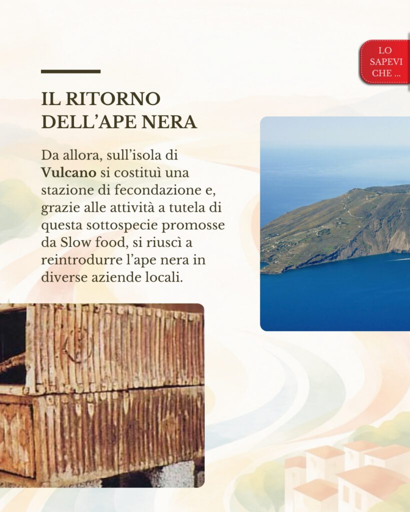 Ape nera sicula