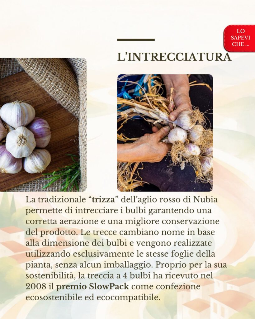 L'aglio di Nubia