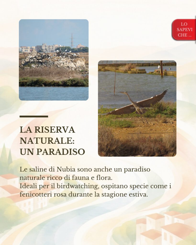 Le saline di Nubia