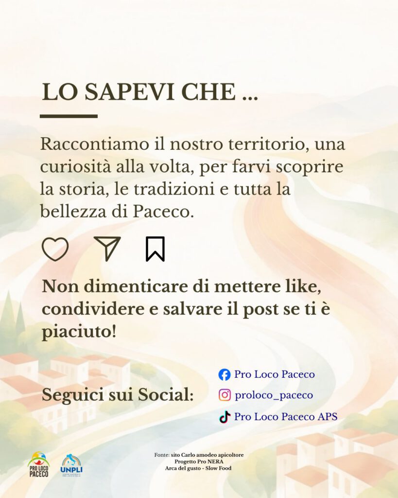 Le piante delle saline