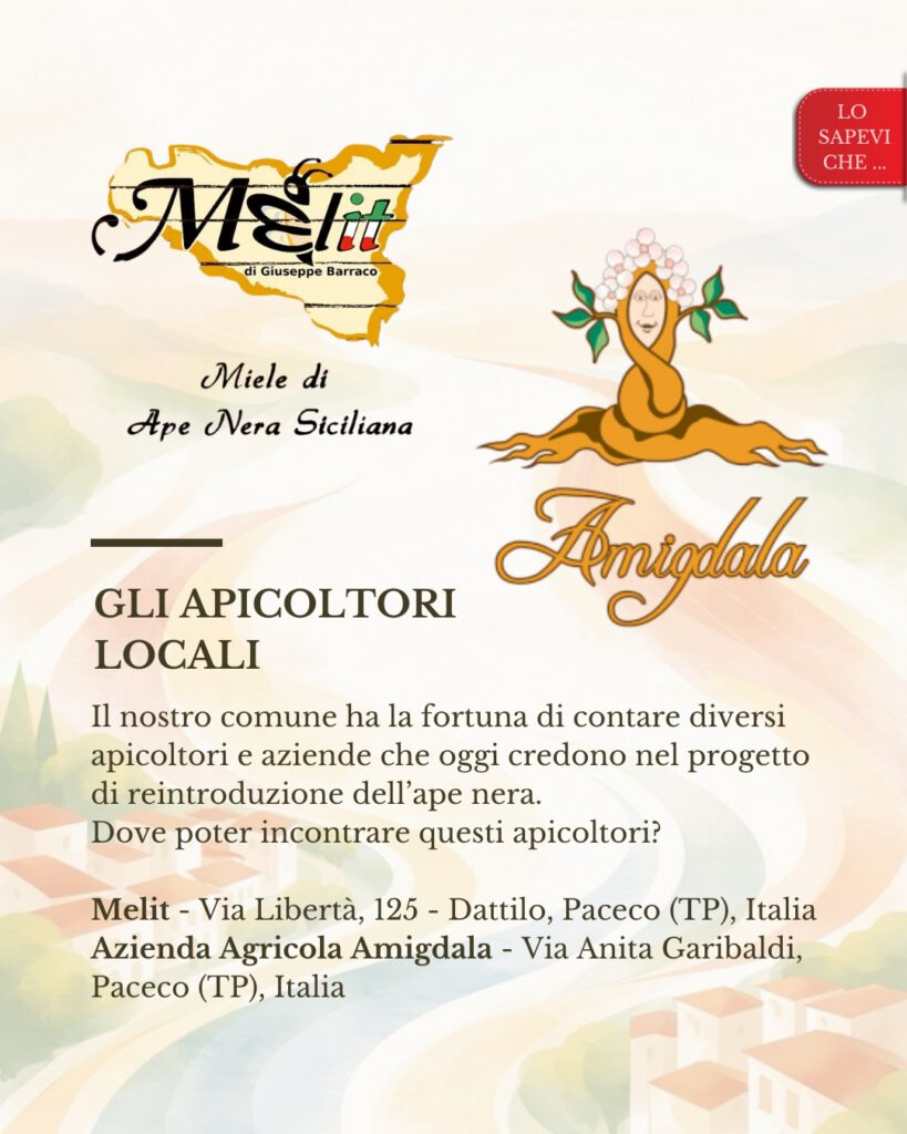 Ape nera sicula