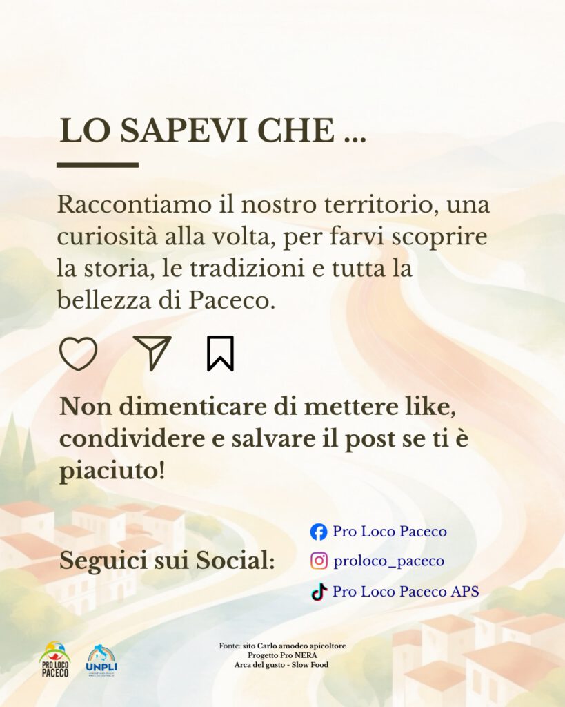 Ape nera sicula