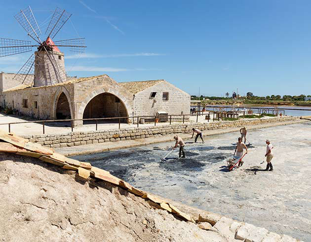 Saline Culcasi, Paceco