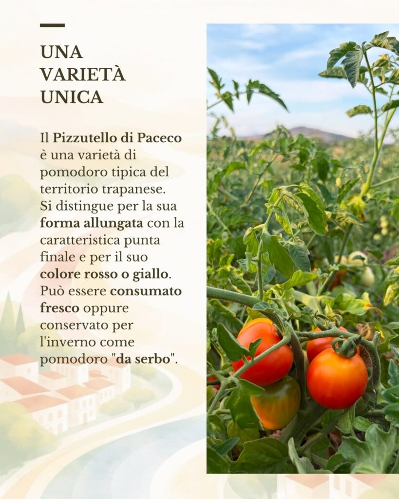 Il Pizzutello di Paceco