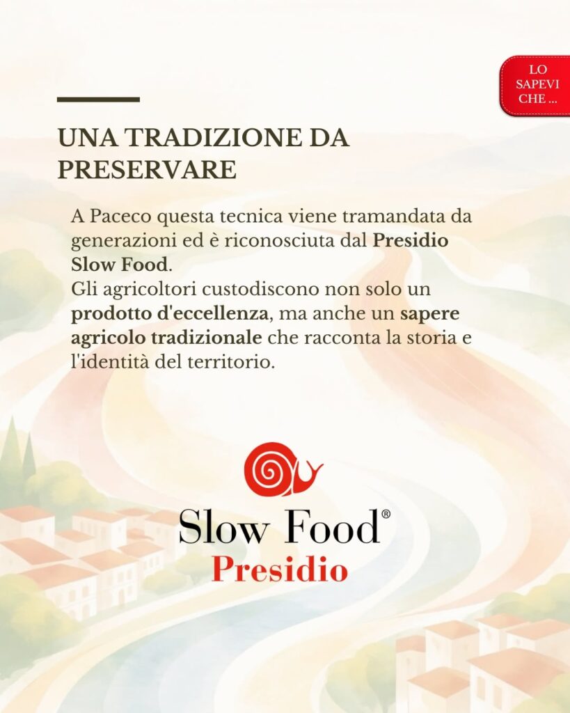 Il Pizzutello di Paceco